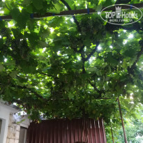 фото из отзыва ID 1805219