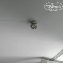 фото из отзыва ID 1805302