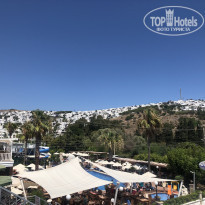 фото из отзыва ID 1805357