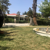 фото из отзыва ID 1805357