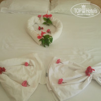 фото из отзыва ID 1805391