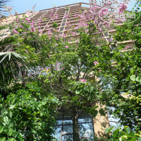 фото из отзыва ID 1805635