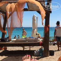 фото из отзыва ID 1805513