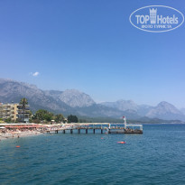 фото из отзыва ID 1805513