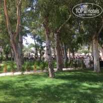 фото из отзыва ID 1805942