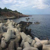 фото из отзыва ID 1806086