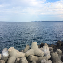 фото из отзыва ID 1806086