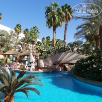 фото из отзыва ID 1806316