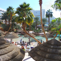 фото из отзыва ID 1806316