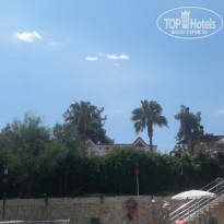 фото из отзыва ID 1806422