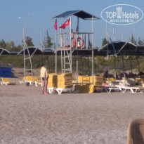 фото из отзыва ID 1806538