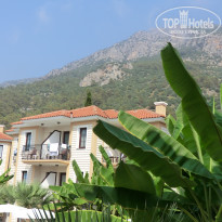 фото из отзыва ID 1806555