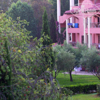 фото из отзыва ID 1806569