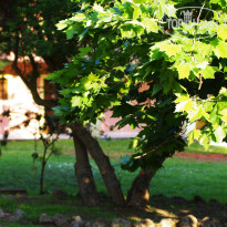 фото из отзыва ID 1806569