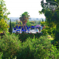 фото из отзыва ID 1806569