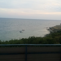 фото из отзыва ID 1806626