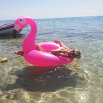 фото из отзыва ID 1807108