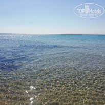 фото из отзыва ID 1807108