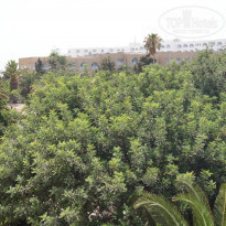 фото из отзыва ID 1807309