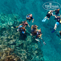 фото из отзыва ID 1807464