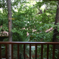 фото из отзыва ID 1807475