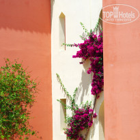 фото из отзыва ID 1806569