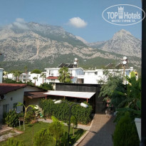 фото из отзыва ID 1807511