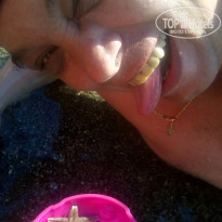 фото из отзыва ID 1807555