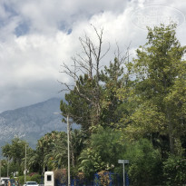 фото из отзыва ID 1807597