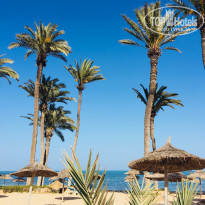 фото из отзыва ID 1807615