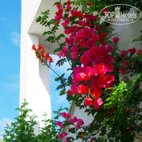 фото из отзыва ID 1806569