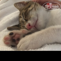 фото из отзыва ID 1807665