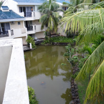 фото из отзыва ID 1807705