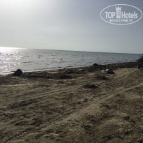 фото из отзыва ID 1807755