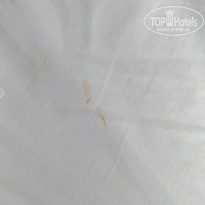 фото из отзыва ID 1807829