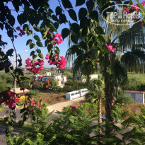 фото из отзыва ID 1807948