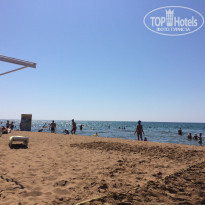 фото из отзыва ID 1807948