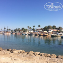 фото из отзыва ID 1807948