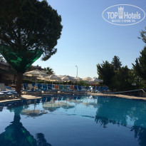 фото из отзыва ID 1808009