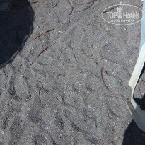 фото из отзыва ID 1808019