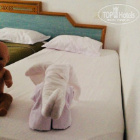 фото из отзыва ID 1808025