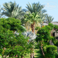 фото из отзыва ID 1808110