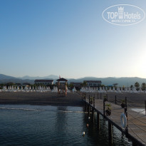 фото из отзыва ID 1808120