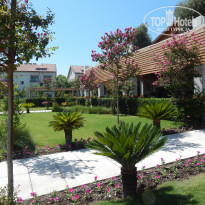 фото из отзыва ID 1808120