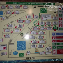 фото из отзыва ID 1808198