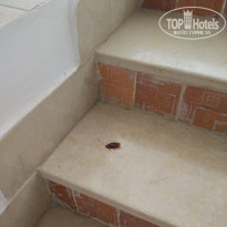 фото из отзыва ID 1808273