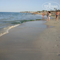 фото из отзыва ID 1808273