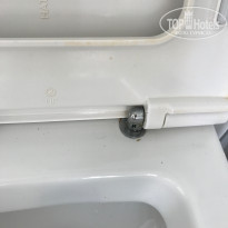 фото из отзыва ID 1808639