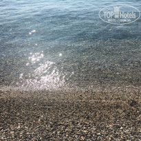 фото из отзыва ID 1808657