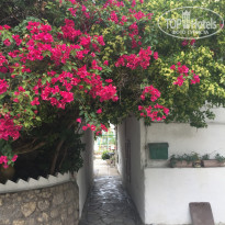 фото из отзыва ID 1808657